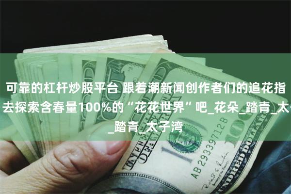 可靠的杠杆炒股平台 跟着潮新闻创作者们的追花指南，去探索含春量100%的“花花世界”吧_花朵_踏青_太子湾
