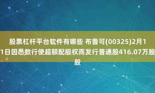 股票杠杆平台软件有哪些 布鲁可(00325)2月11日因悉数行使超额配股权而发行普通股416.07万股