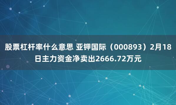 股票杠杆率什么意思 亚钾国际（000893）2月18日主力资金净卖出2666.72万元