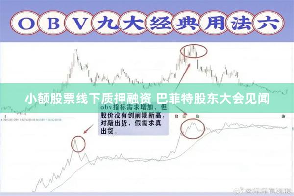 小额股票线下质押融资 巴菲特股东大会见闻