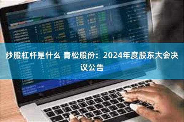 炒股杠杆是什么 青松股份：2024年度股东大会决议公告