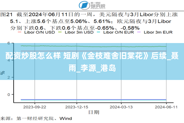 配资炒股怎么样 短剧《金枝难舍旧棠花》后续_聂雨_李源_港岛