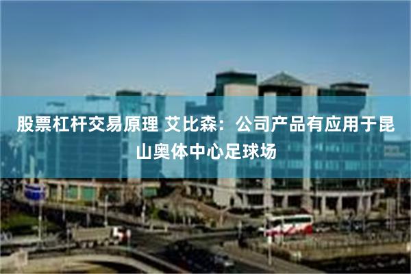 股票杠杆交易原理 艾比森：公司产品有应用于昆山奥体中心足球场