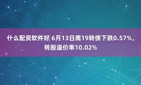 什么配资软件好 6月13日鹰19转债下跌0.57%，转股溢价率10.02%