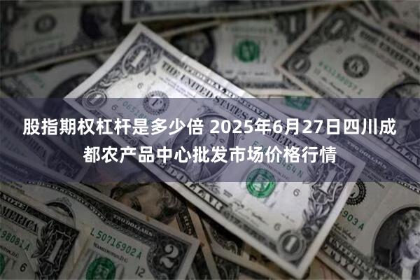 股指期权杠杆是多少倍 2025年6月27日四川成都农产品中心批发市场价格行情