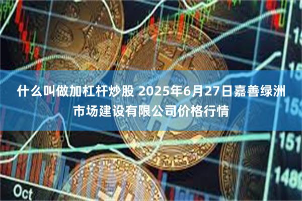 什么叫做加杠杆炒股 2025年6月27日嘉善绿洲市场建设有限公司价格行情