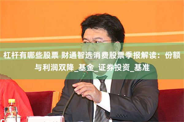 杠杆有哪些股票 财通智选消费股票季报解读：份额与利润双降_基金_证券投资_基准