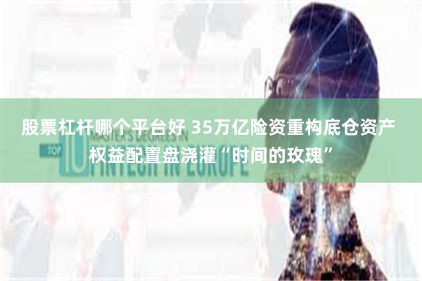 股票杠杆哪个平台好 35万亿险资重构底仓资产 权益配置盘浇灌“时间的玫瑰”
