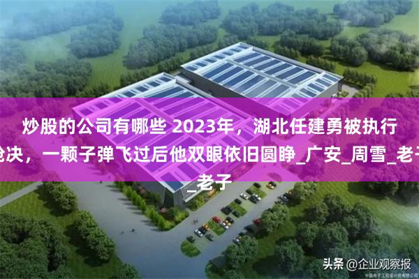 炒股的公司有哪些 2023年，湖北任建勇被执行枪决，一颗子弹飞过后他双眼依旧圆睁_广安_周雪_老子