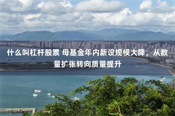 什么叫杠杆股票 母基金年内新设规模大降，从数量扩张转向质量提升