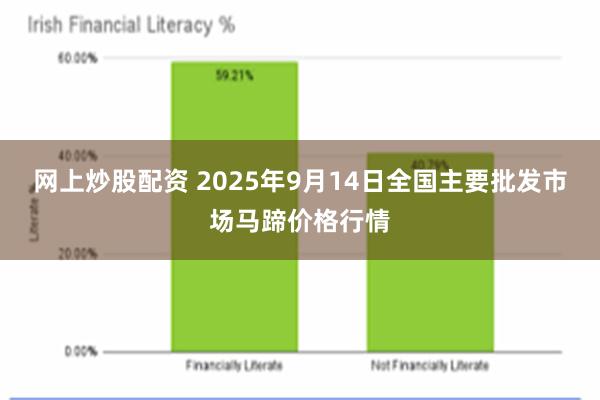 网上炒股配资 2025年9月14日全国主要批发市场马蹄价格行情