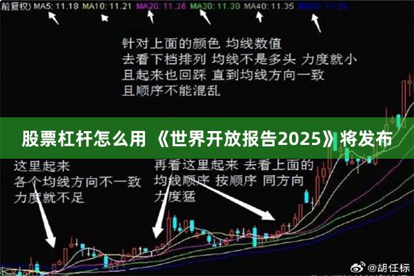 股票杠杆怎么用 《世界开放报告2025》将发布