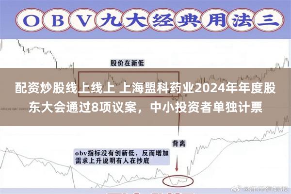 配资炒股线上线上 上海盟科药业2024年年度股东大会通过8项议案，中小投资者单独计票