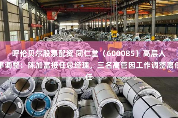呼伦贝尔股票配资 同仁堂（600085）高层人事调整：陈加富接任总经理，三名高管因工作调整离任