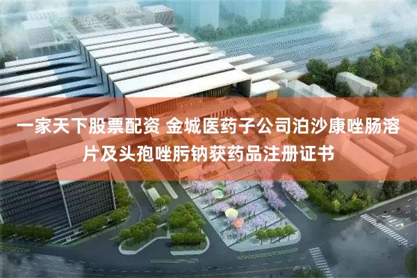 一家天下股票配资 金城医药子公司泊沙康唑肠溶片及头孢唑肟钠获药品注册证书
