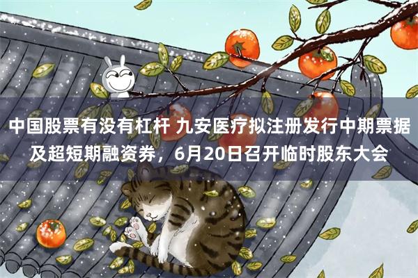 中国股票有没有杠杆 九安医疗拟注册发行中期票据及超短期融资券，6月20日召开临时股东大会