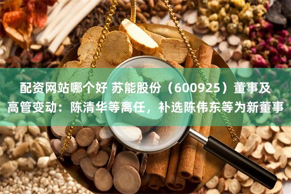 配资网站哪个好 苏能股份（600925）董事及高管变动：陈清华等离任，补选陈伟东等为新董事