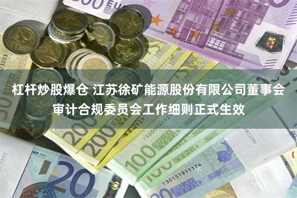 杠杆炒股爆仓 江苏徐矿能源股份有限公司董事会审计合规委员会工作细则正式生效
