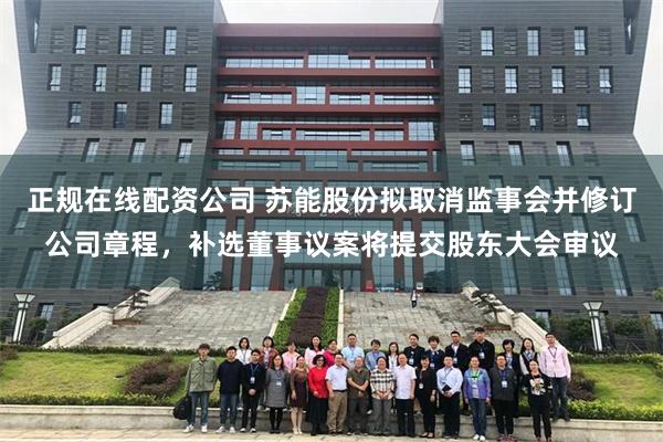 正规在线配资公司 苏能股份拟取消监事会并修订公司章程，补选董事议案将提交股东大会审议