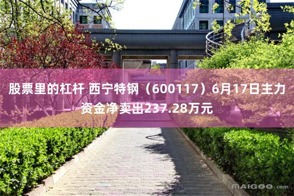 股票里的杠杆 西宁特钢（600117）6月17日主力资金净卖出237.28万元