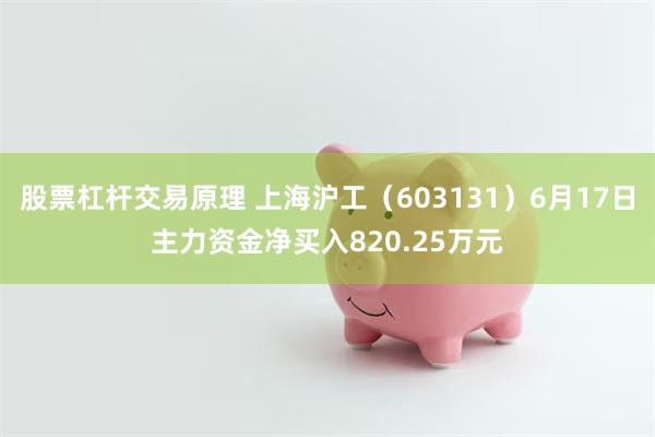 股票杠杆交易原理 上海沪工（603131）6月17日主力资金净买入820.25万元