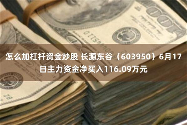 怎么加杠杆资金炒股 长源东谷（603950）6月17日主力资金净买入116.09万元