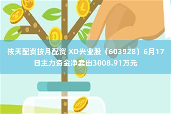 按天配资按月配资 XD兴业股（603928）6月17日主力资金净卖出3008.91万元