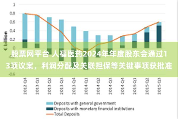 股票网平台 人福医药2024年年度股东会通过13项议案，利润分配及关联担保等关键事项获批准