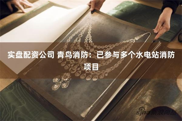 实盘配资公司 青鸟消防：已参与多个水电站消防项目