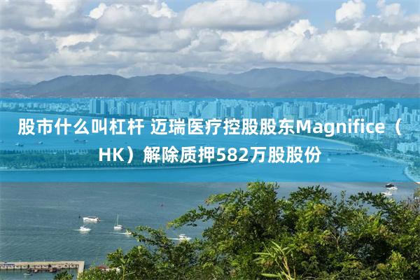 股市什么叫杠杆 迈瑞医疗控股股东Magnifice（HK）解除质押582万股股份