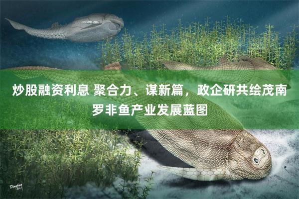 炒股融资利息 聚合力、谋新篇，政企研共绘茂南罗非鱼产业发展蓝图