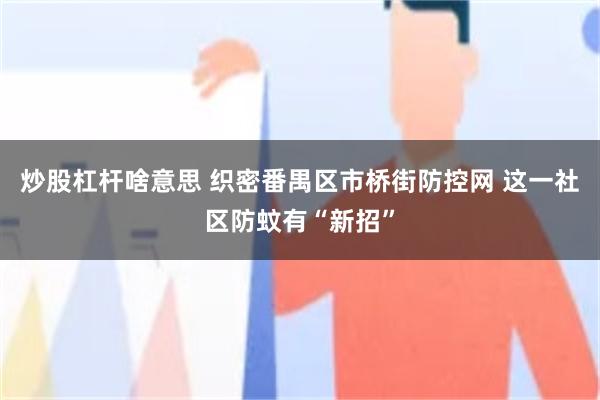 炒股杠杆啥意思 织密番禺区市桥街防控网 这一社区防蚊有“新招”