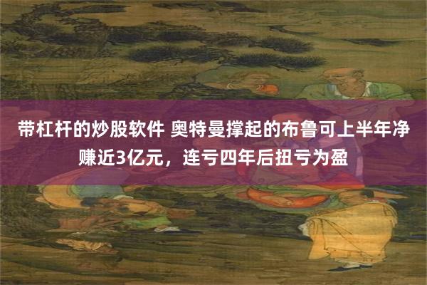 带杠杆的炒股软件 奥特曼撑起的布鲁可上半年净赚近3亿元，连亏四年后扭亏为盈