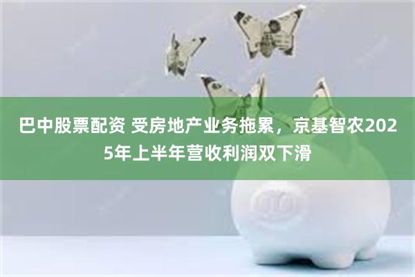 巴中股票配资 受房地产业务拖累，京基智农2025年上半年营收利润双下滑