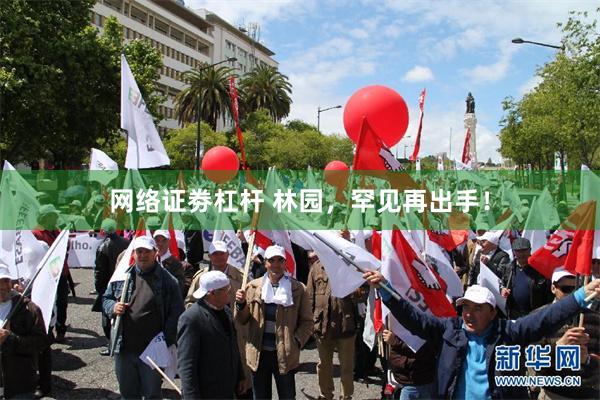 网络证劵杠杆 林园,罕见再出手!