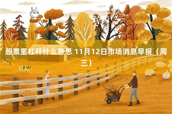 股票里杠杆什么意思 11月12日市场消息早报（周三）