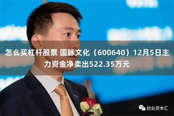 怎么买杠杆股票 国脉文化（600640）12月5日主力资金净卖出522.35万元