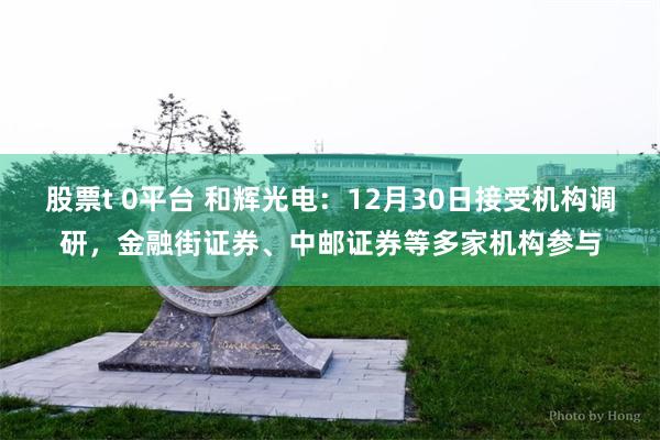 股票t 0平台 和辉光电：12月30日接受机构调研，金融街证券、中邮证券等多家机构参与