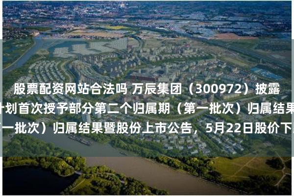 股票配资网站合法吗 万辰集团（300972）披露2024年限制性股票激励计划首次授予部分第二个归属期（第一批次）归属结果暨股份上市公告，5月22日股价下跌1.98%