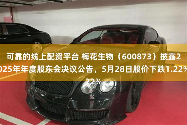 可靠的线上配资平台 梅花生物（600873）披露2025年年度股东会决议公告，5月28日股价下跌1.22%