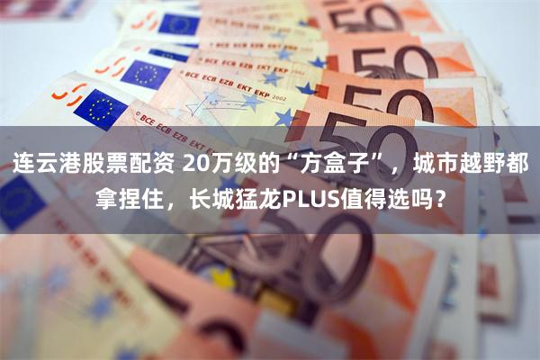 连云港股票配资 20万级的“方盒子”，城市越野都拿捏住，长城猛龙PLUS值得选吗？