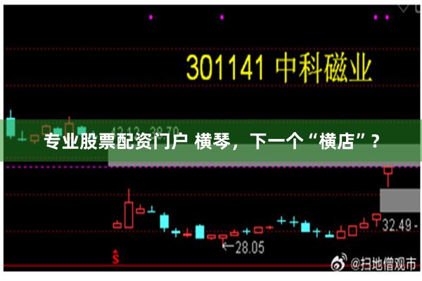 专业股票配资门户 横琴，下一个“横店”？