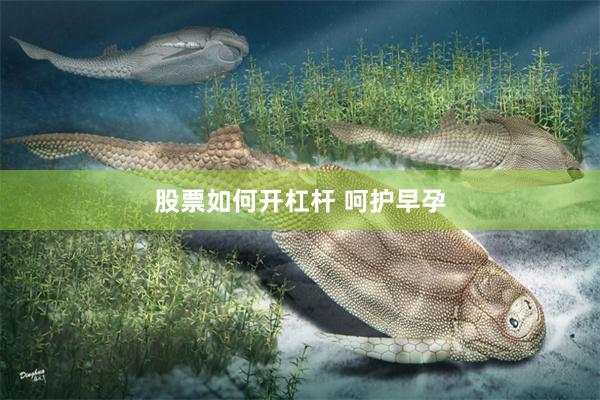 股票如何开杠杆 呵护早孕
