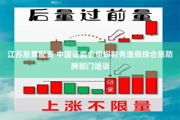 江苏股票配资 中国证监会组织财务造假综合惩防跨部门培训