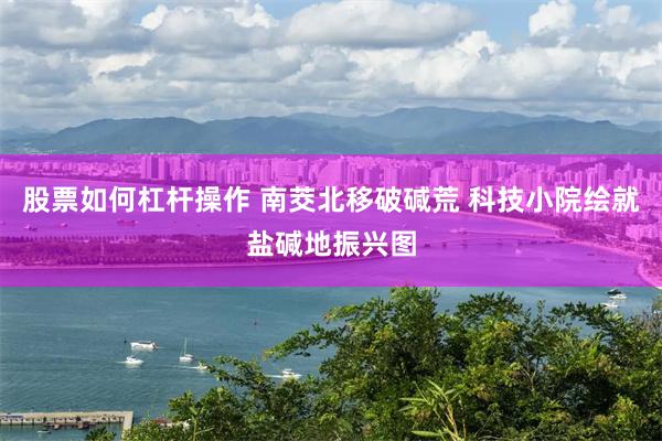 股票如何杠杆操作 南茭北移破碱荒 科技小院绘就盐碱地振兴图