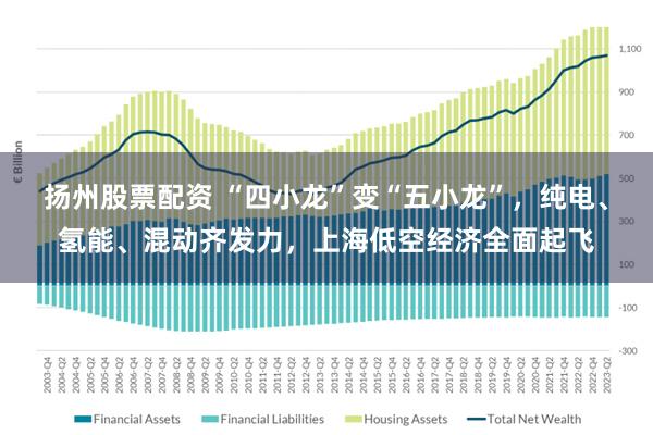 扬州股票配资 “四小龙”变“五小龙”，纯电、氢能、混动齐发力，上海低空经济全面起飞