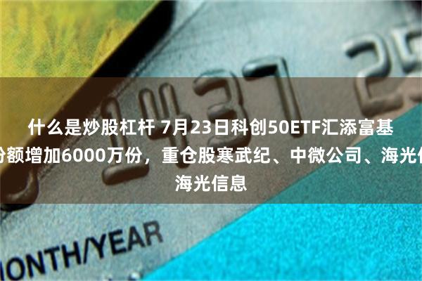什么是炒股杠杆 7月23日科创50ETF汇添富基金份额增加6000万份，重仓股寒武纪、中微公司、海光信息
