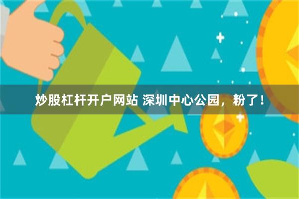 炒股杠杆开户网站 深圳中心公园，粉了！