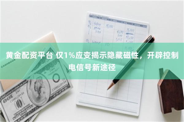 黄金配资平台 仅1%应变揭示隐藏磁性，开辟控制电信号新途径