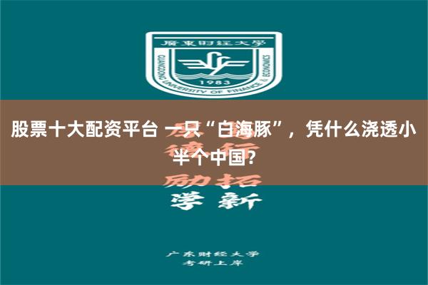 股票十大配资平台 一只“白海豚”，凭什么浇透小半个中国？